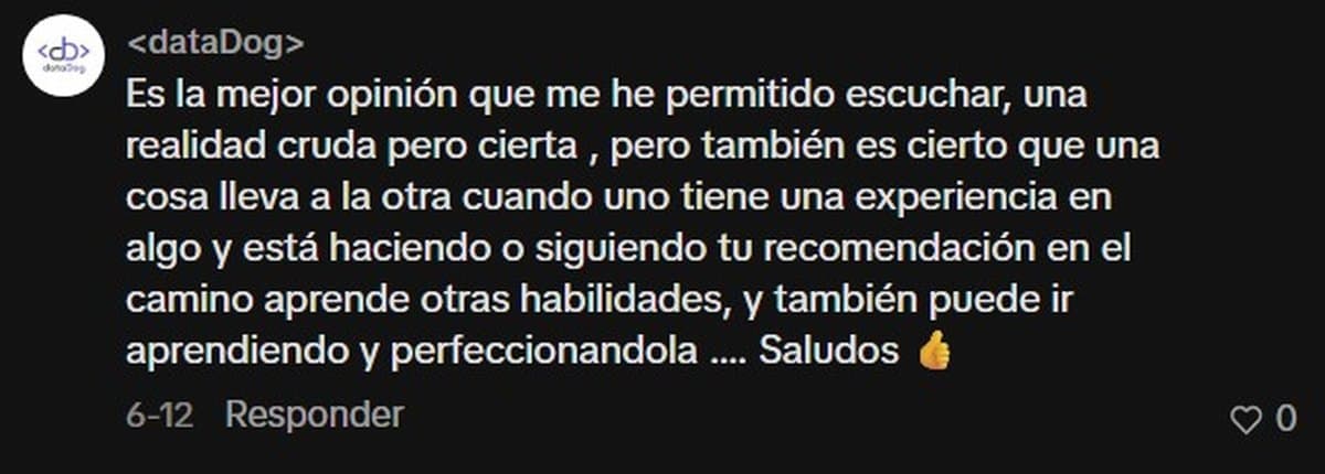 Comentario público en TikTok