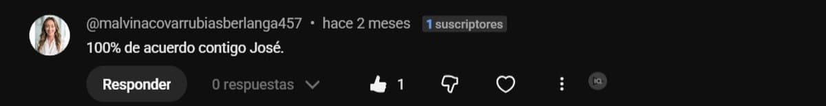 Comentario público en YouTube